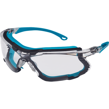 05010581 MONDION clear CERVA 042017 7624.tif